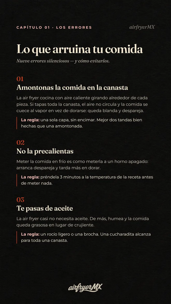 Guía Domina tu Air Fryer